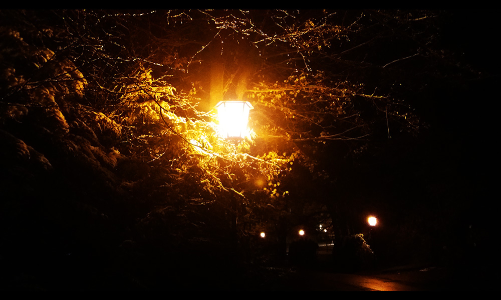 Header: Straßenlaterne bei Nacht