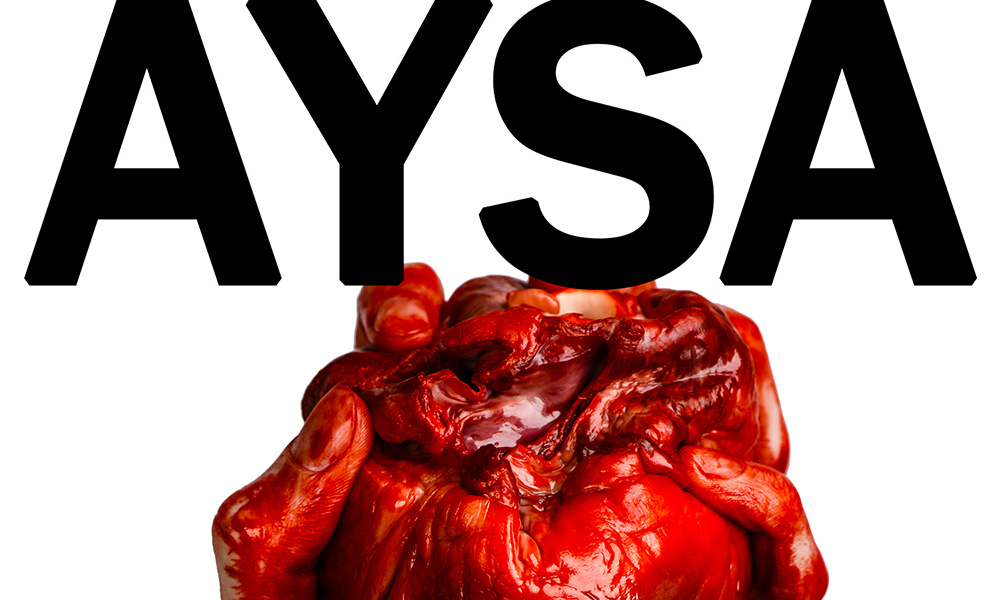 Ausschnitt Cover: John Aysa: Höllenbrut