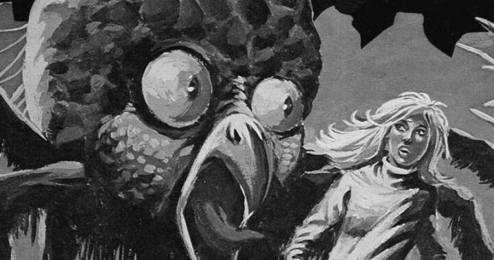 [FAULER SONNTAG]: Monstrula …