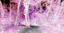 Eigenes Foto - Wildnis